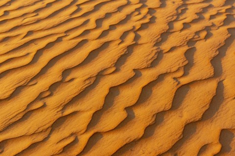 Natural patterns and ripples in the sand