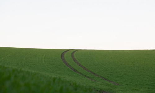 Land consolidation in agriculture