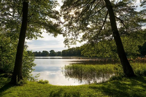 Schaalsee near Seedorf
