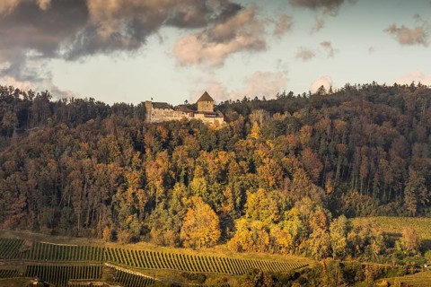 View of Hohenklingen Castle