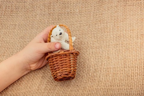 Hand holding a Polar bear model in hand on canvas