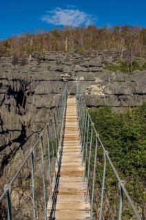 Hanging bridge in the Tsingy plateau in the Ankarana Special Reserve