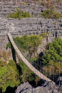 Hanging bridge in the Tsingy plateau in the Ankarana Special Reserve