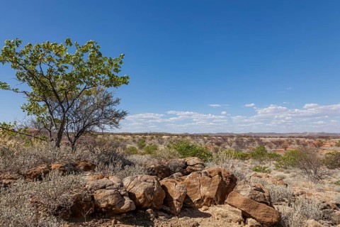 Landscape at the Petrified Forest