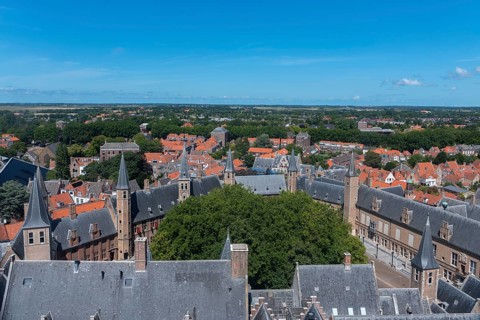 View of the ensemble of the historic abbey from the Lange Jan church tower