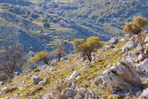 View from the summit
