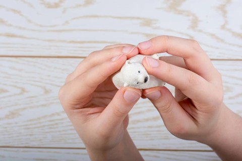 Hand holding a Polar bear model on a wooden background