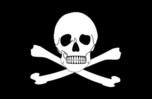 Pirate flag