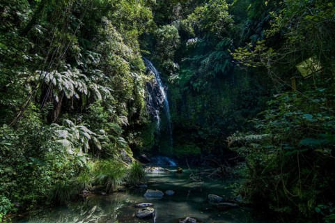 Waterfall in the Montagne dÂ´Ambre National Park