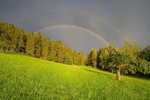 Double rainbow over meadow