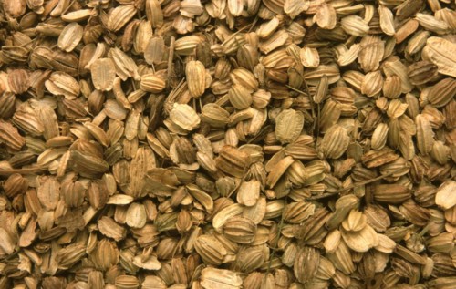 Medicinal plant