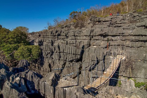 Hanging bridge in the Tsingy plateau in the Ankarana Special Reserve