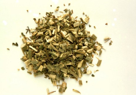 Medicinal herbs dried chicory