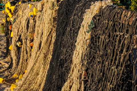 Fishing nets