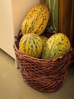 Green speckled melons in a straw basket in the view