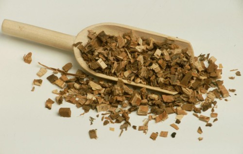 Medicinal plant