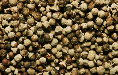 Medicinal herbs: chaste tree