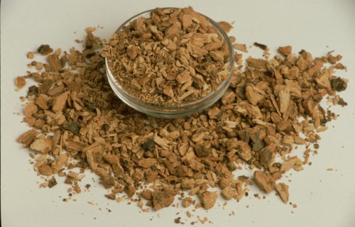 Medicinal plant