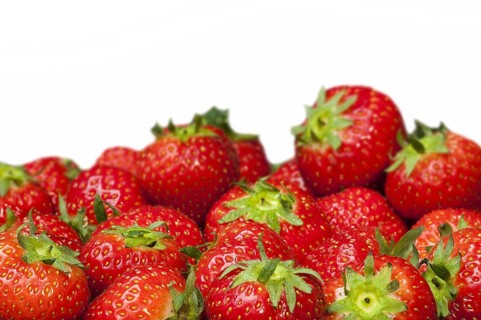 Harvested garden strawberries