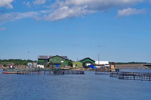 Commercial fish farms in the waters of the Baltic Sea