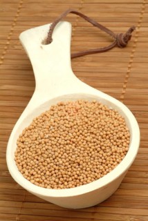 Medicinal plant White mustard