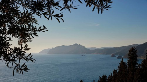View of the coast