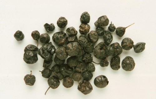 Medicinal herbs: buckthorn