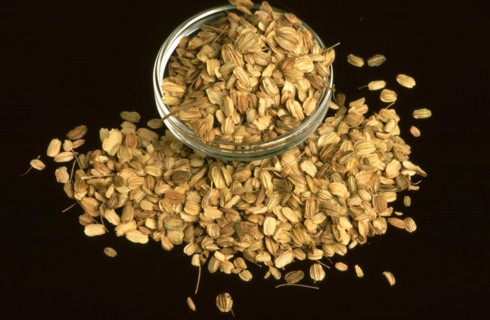 Medicinal herbs