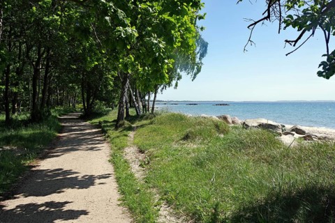 Narrow unpaved path leads along the sea