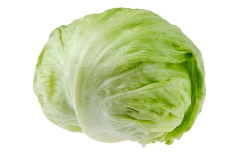 Whole big iceberg lettuce or crisphead lettuce isolated on white background