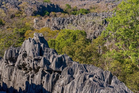 Tsingy plateau in the Ankarana Special Reserve