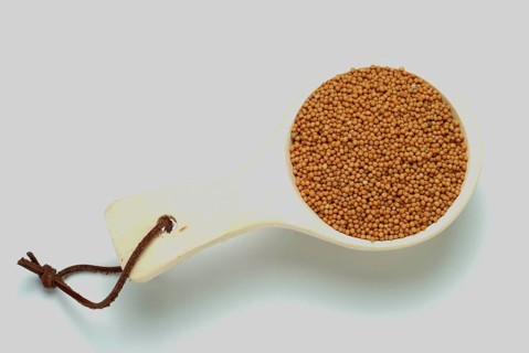 Medicinal plant White mustard