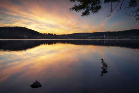 Lake Titisee at sunset