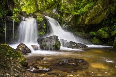 The Stuebenbach