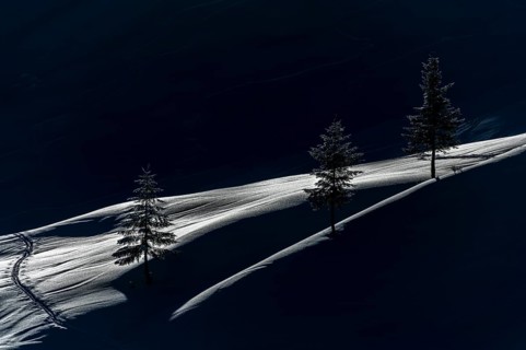 Backlit trees with ski touring track on snowy mountain meadow