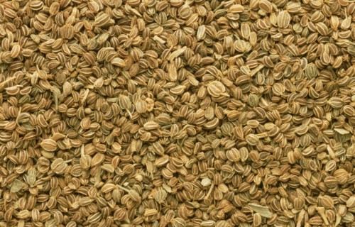 Medicinal herbs: celery