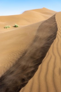 Wanderduenen in der Wueste Erg Chebbi in Suedmarokko. Merzouga