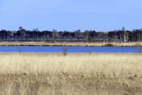 Huvenhoopsmoor