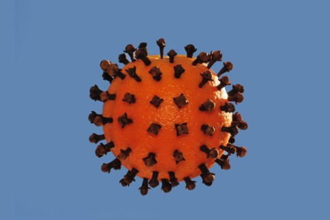 Simple model of an orange corona virus with clove