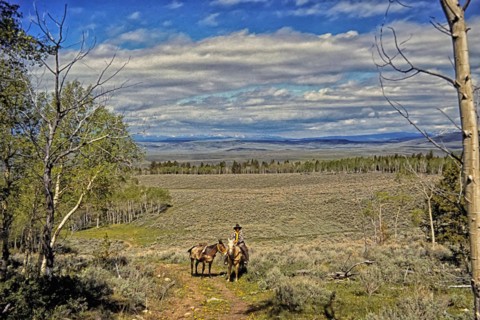 Cowboy with pack mule