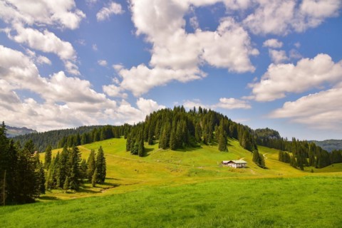 Alpine pasture in the Lochbach valley near Oberstdorf