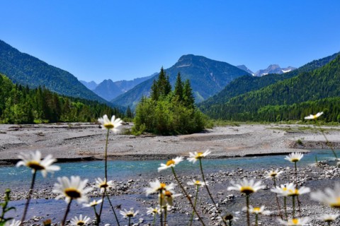 At the headwaters of the Isar near Vorderriss