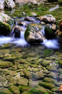 Wildbach