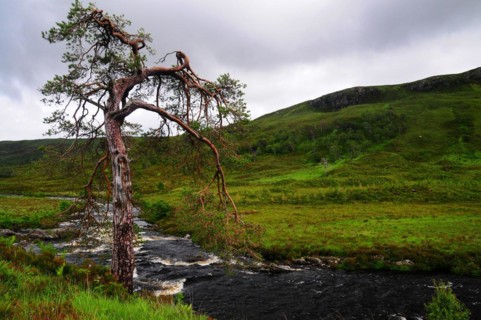 River Bran