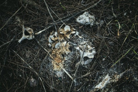 Human remains at a grave where the bodies of six civilians from Praviden were temporarily given a makeshift burial after being tortured and then executed by Russian soldiers