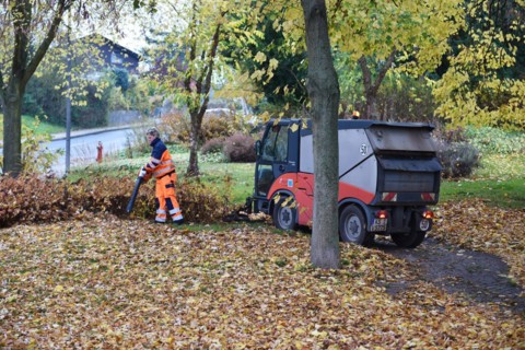 Sweeper sweeps leaves in autumn