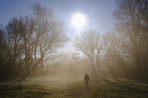 Hikers in the Fog