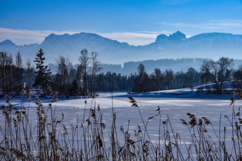 Ice-covered pond in the Allgaeu