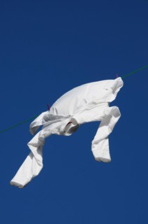 Shirt drying on a clothesline