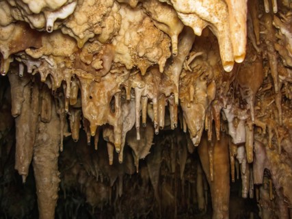 Calcareous water droplets at the top of small stalactites in karst stalactite cave